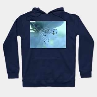 Blossoms #2 Hoodie